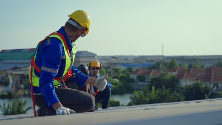 Best Roof Maintenance and Cleaning  in Ladysmith, WI