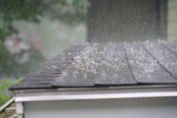 Best Commercial Roofing Services  in Ladysmith, WI