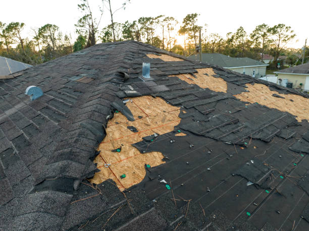 Professional Roofing Service in Ladysmith, WI