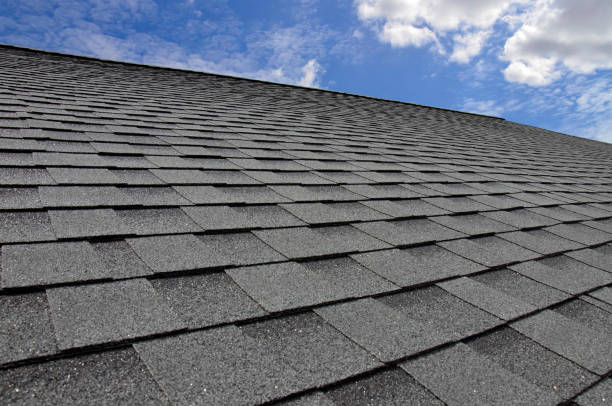 Best Solar Panel Roofing Installation  in Ladysmith, WI