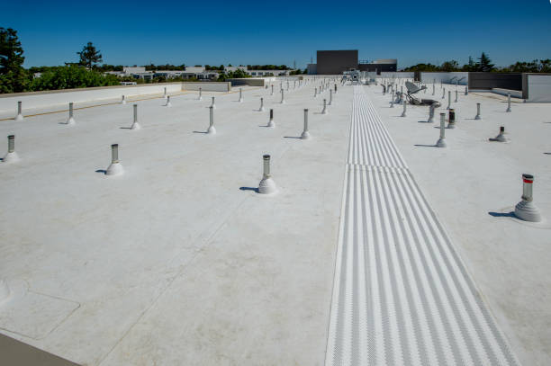 Best 4 Ply Roofing  in Ladysmith, WI